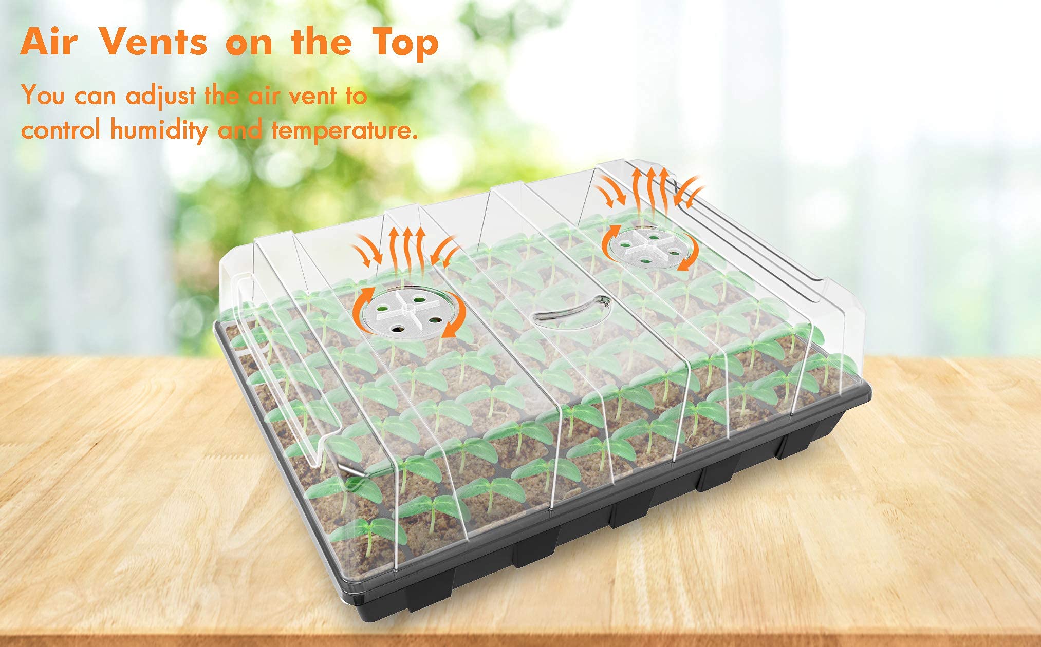 Gardzen 70-cell closeup highlights compact seed spacing for multiple varieties