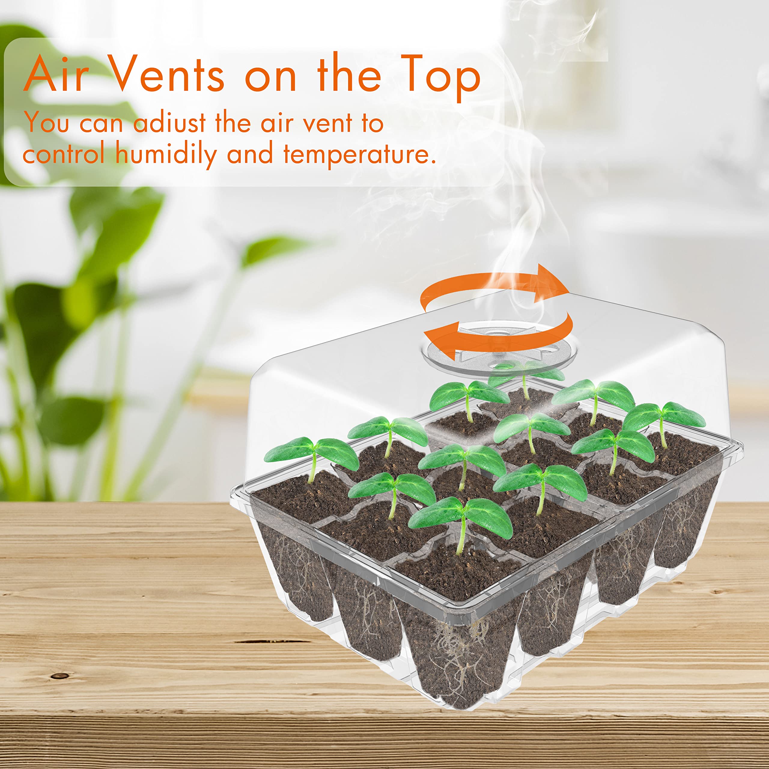 Gardzen clear base tray allows quick observation of roots and growth.