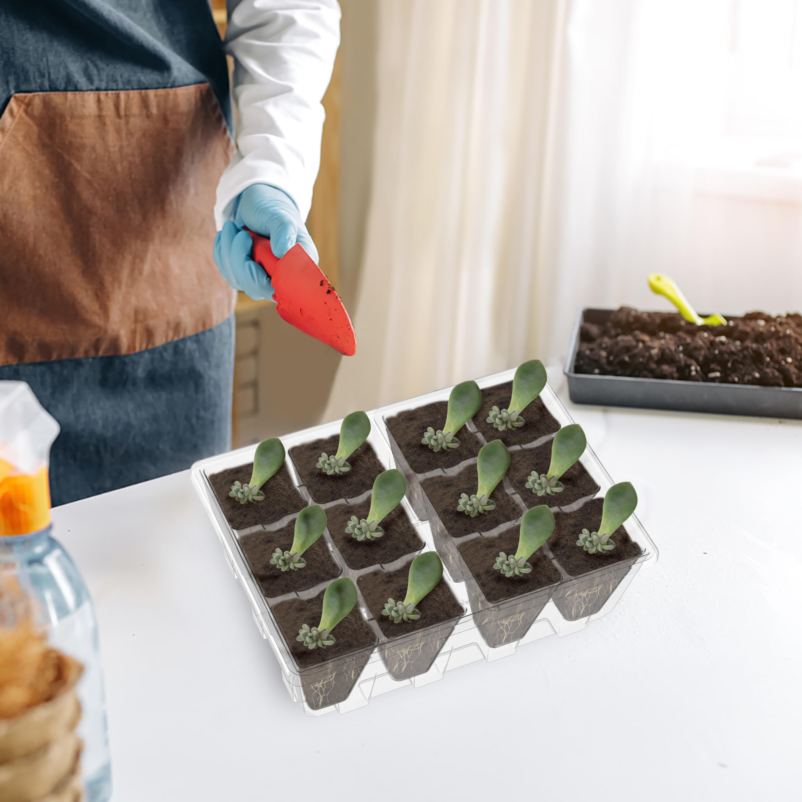 Gardzen kit streamlines seed starting and cuttings on windowsill.