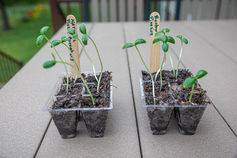 Gardzen seed starting tray set offers versatile use for flowers, vegetables, and herbs.