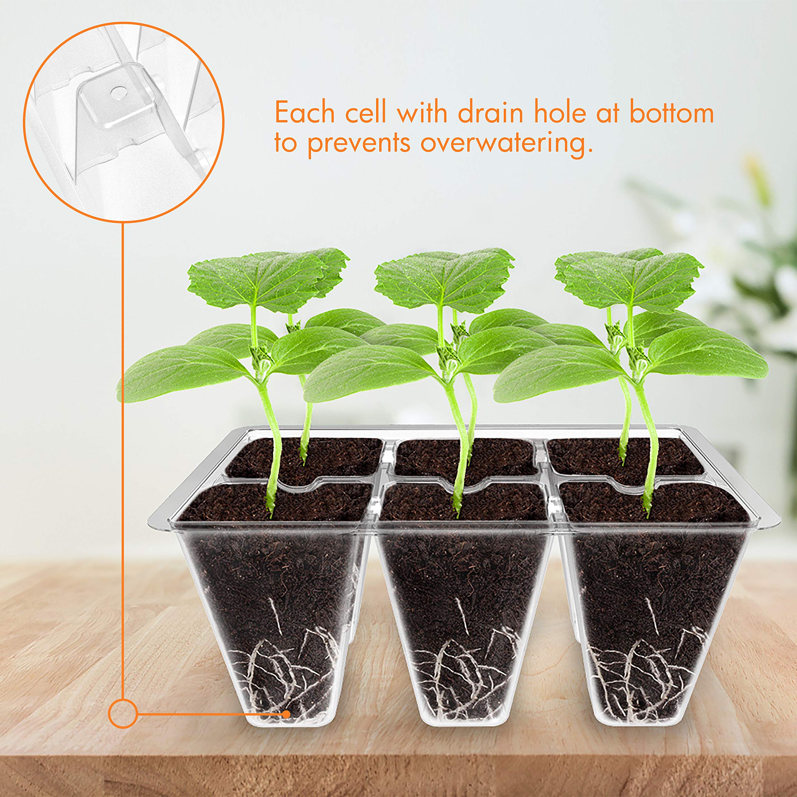 Gardzen seed tray with bottom drain hole helps prevent overwatering during sprouts.