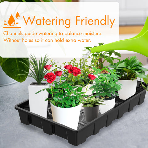 Gardzen seed tray size-14-5x9 provides ample space for seeds and microgreens.