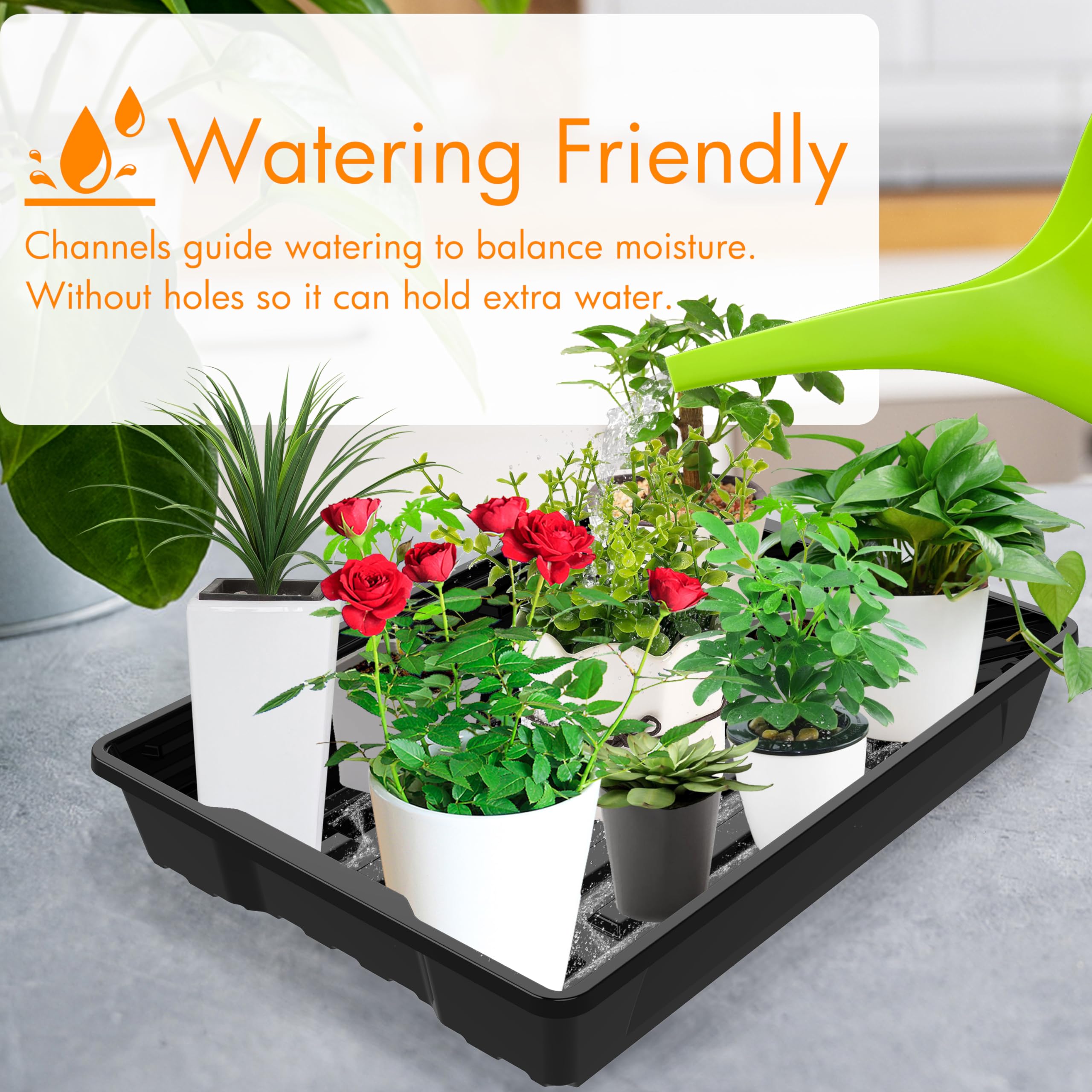 Gardzen seed trays 15.7 by 11.6 inches offer ample space for seedlings