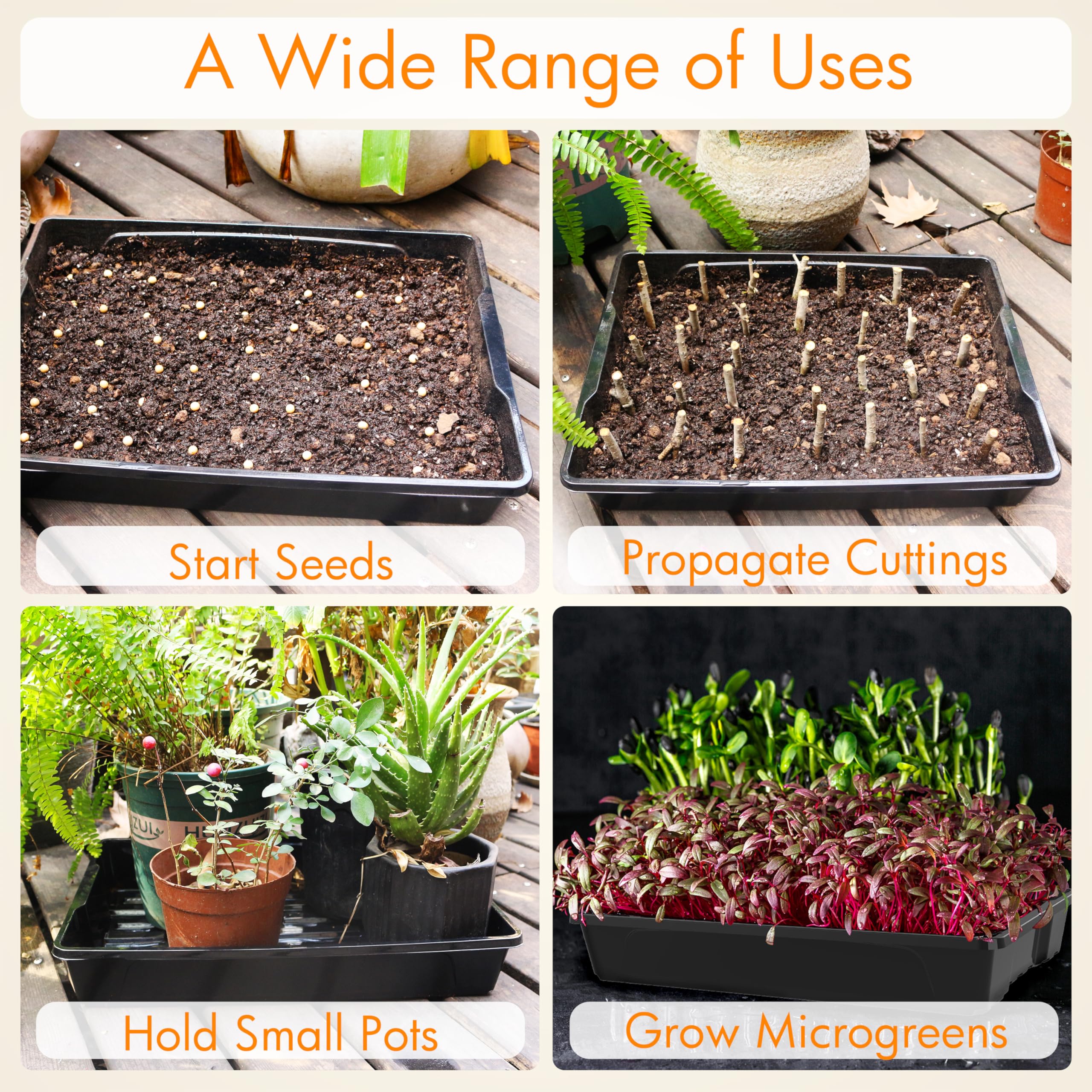 Gardzen seed trays ideal for sprouts microgreens and seedlings