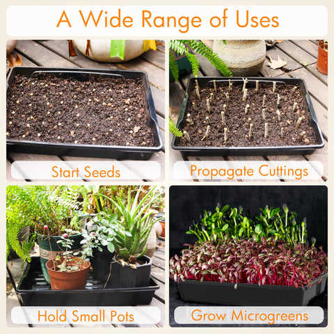 Gardzen seed trays ideal for sprouts microgreens and seedlings