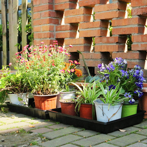 Close up of Gardzen seed trays showing no drain holes for bottom watering control