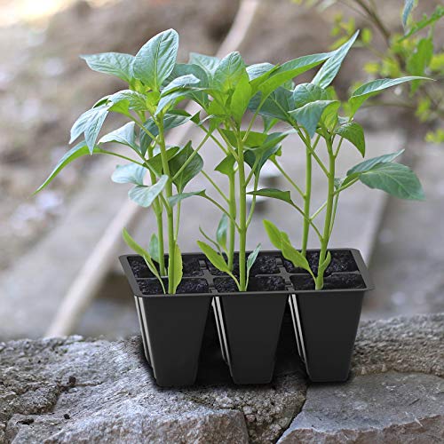 Gardzen seedling tray sized 5.4-by-3.7 inches supports strong roots.