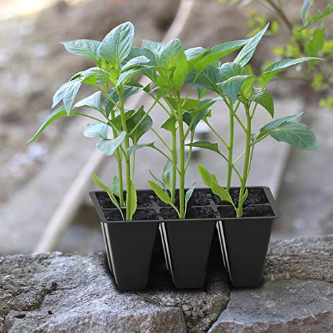 Gardzen seedling tray sized 5.4-by-3.7 inches supports strong roots.