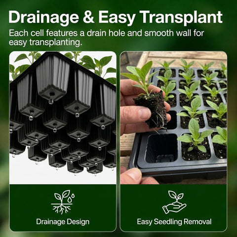 Top vents on the Gardzen propagator enable adjustable airflow.