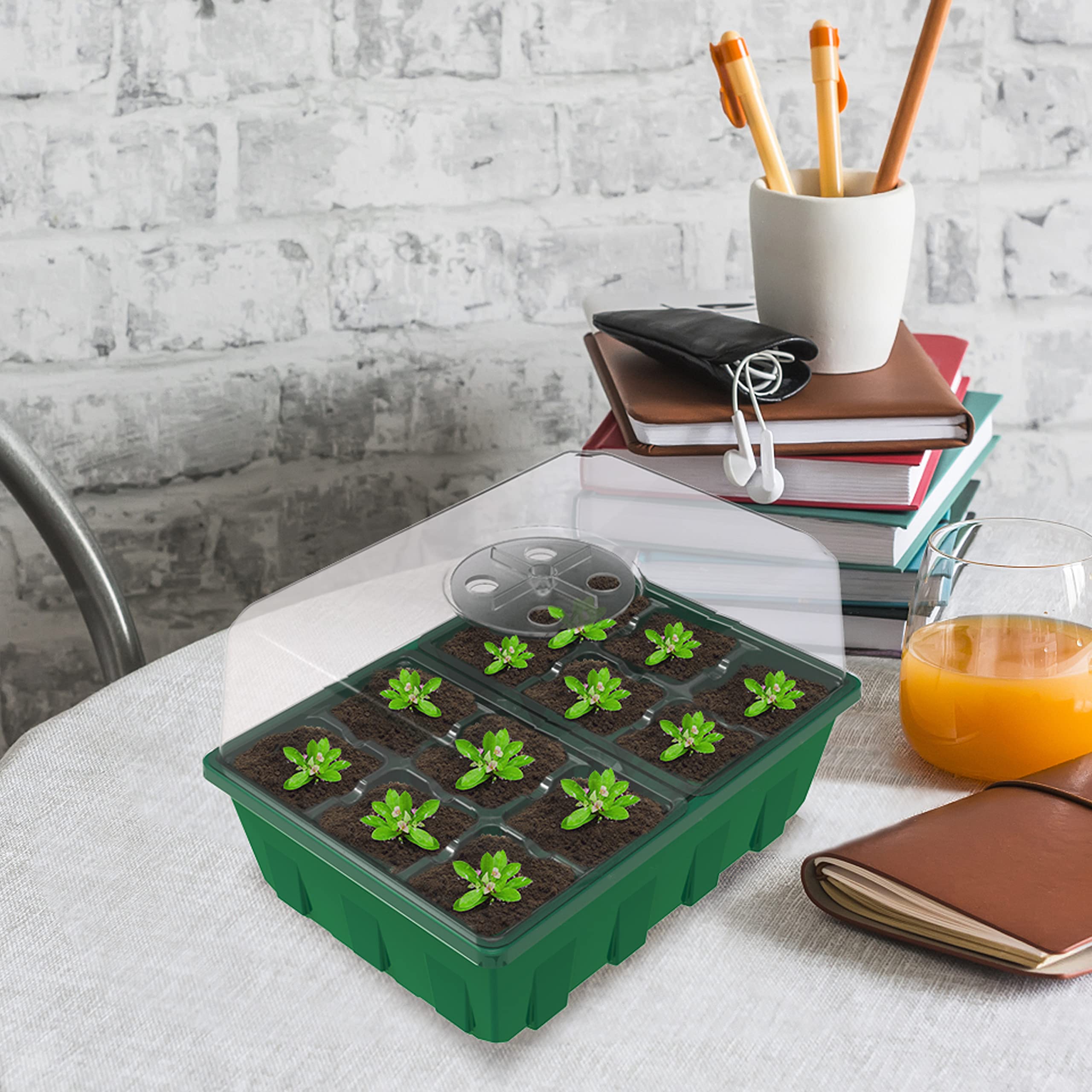 Gardzen versatile seed trays suitable for flowers, vegetables, and herbs