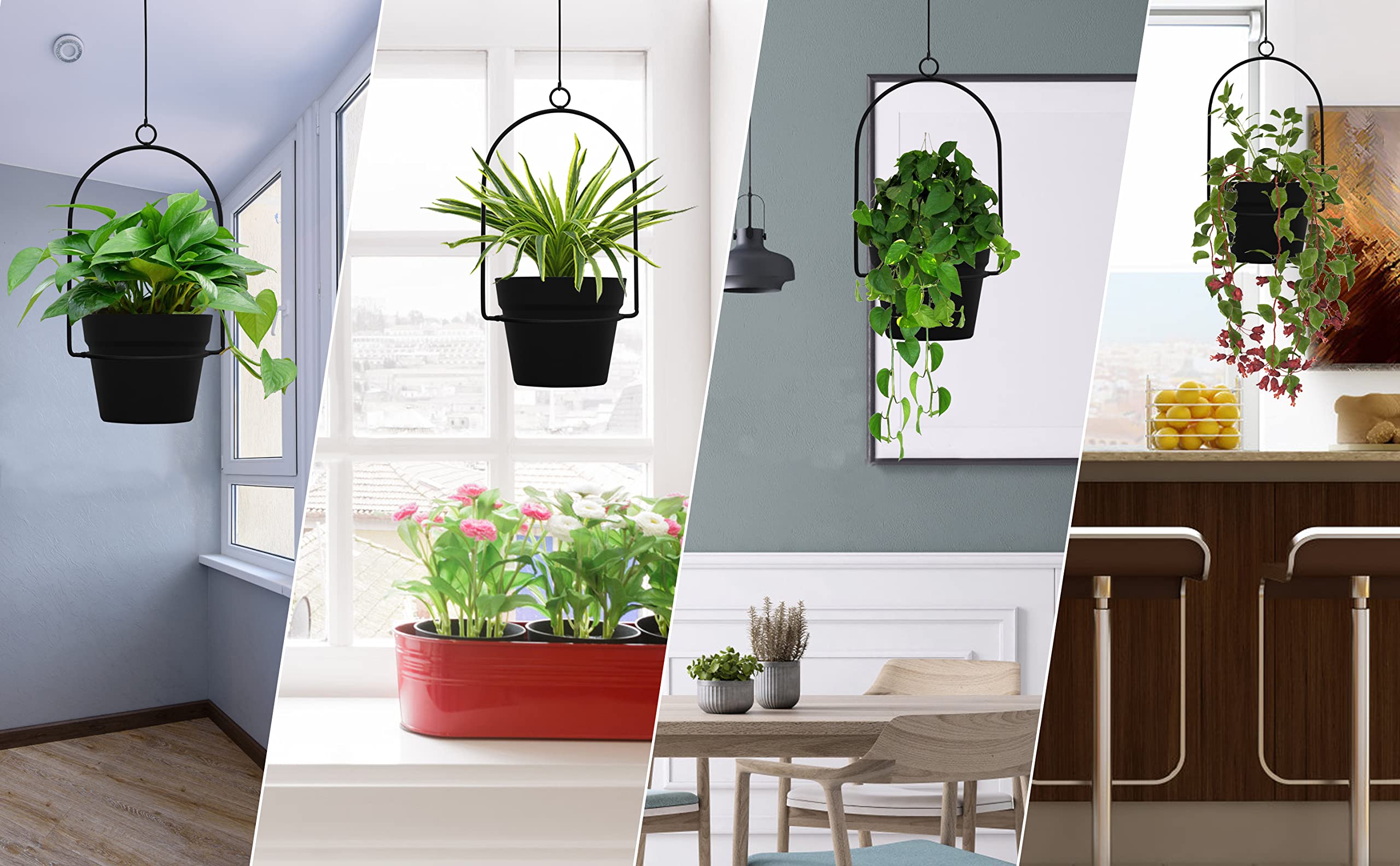 Gardzen wall terrace balcony hanging display enhances decor with plants