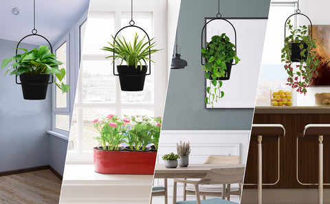 Gardzen wall terrace balcony hanging display enhances decor with plants