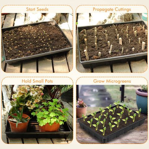 Propagation tray from Gardzen with watering channels for even moisture distribution