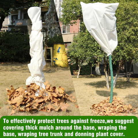 Gardzen winter protection cover creates a warm microclimate for delicate plants