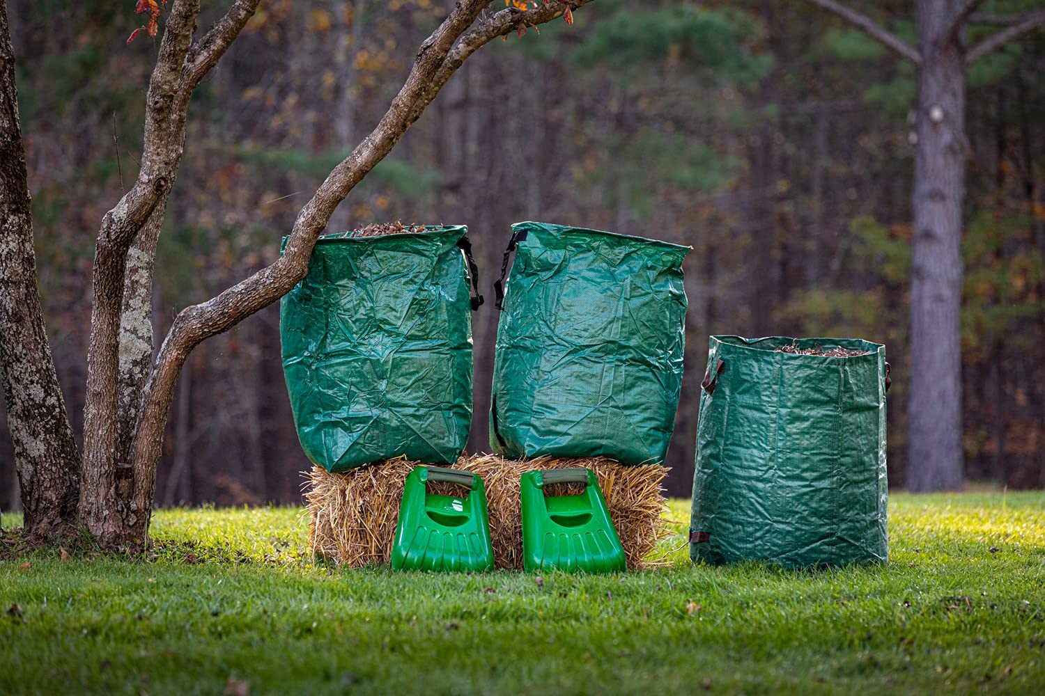 Gardzen in-action yard cleanup showing efficient debris collection and easy bag dumping.