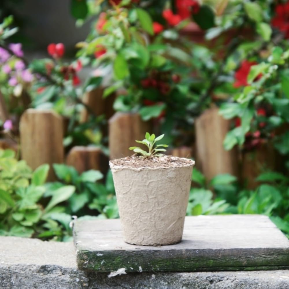 GardEasy drainage holes ensure moisture balance during seed germination and growth.