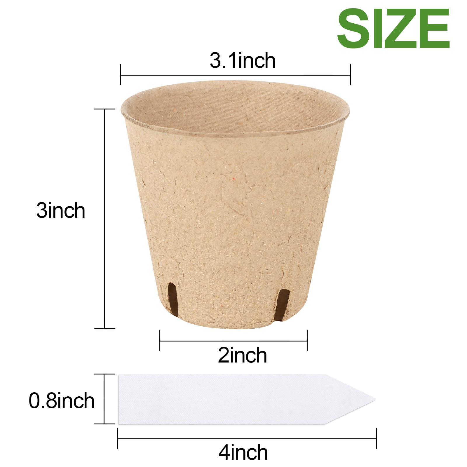GardEasy peat pots close-up reveals drainage holes for healthy seedling growth.