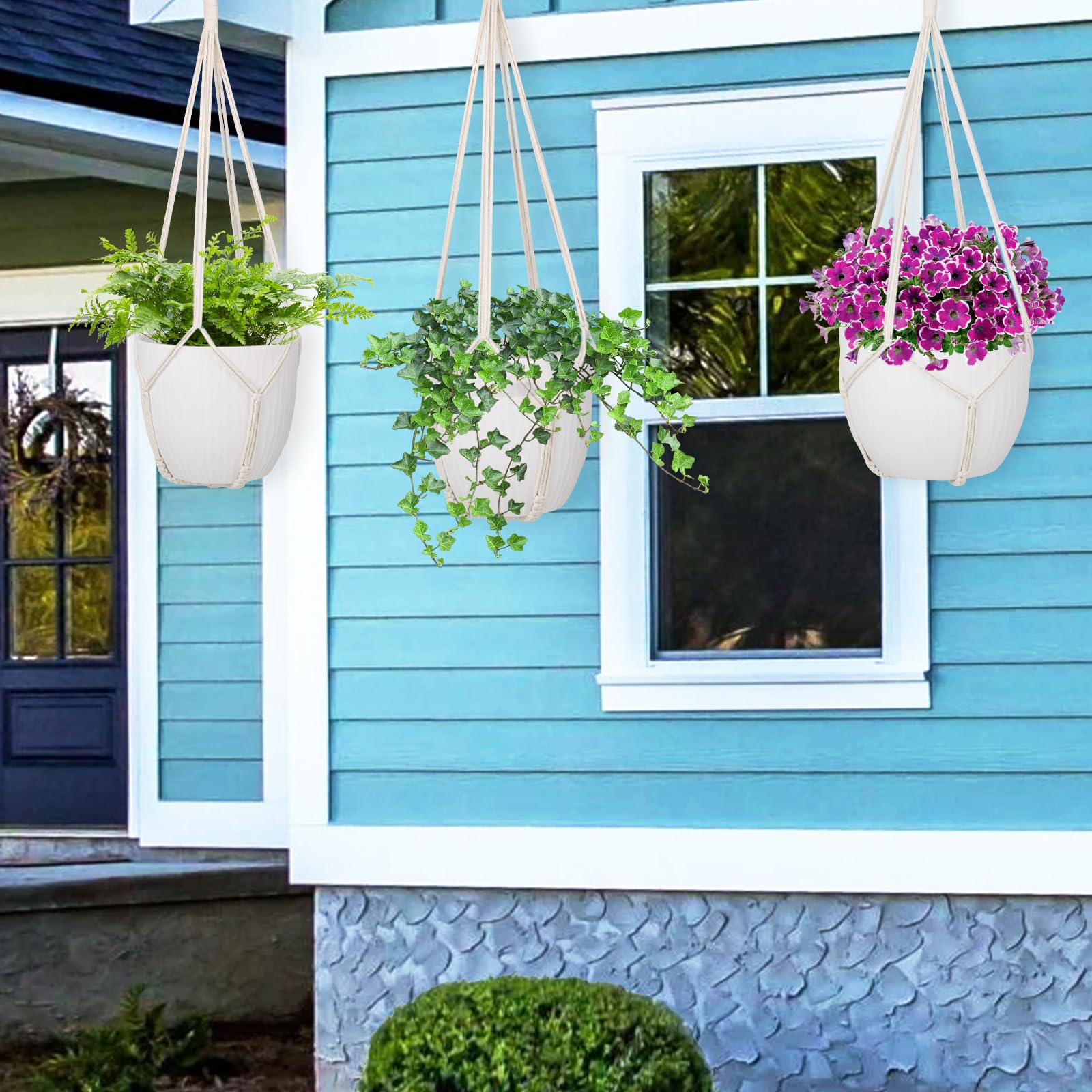 Garini durable, eco-friendly cotton cord hanger enhances home greenery.