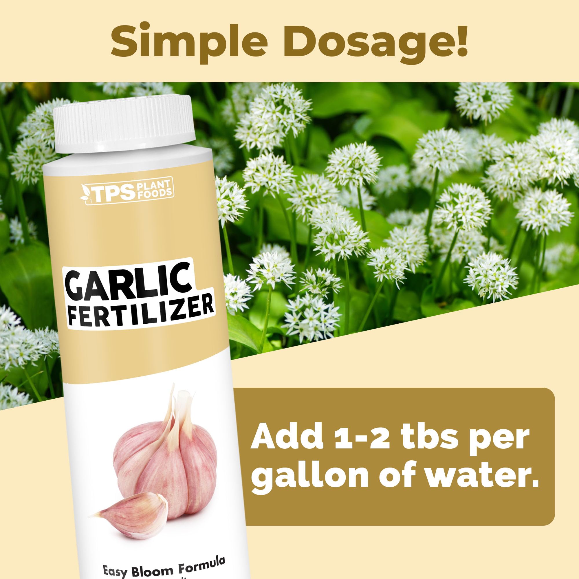 TPS NUTRIENTS garlic bulbs forming stronger with liquid feed.