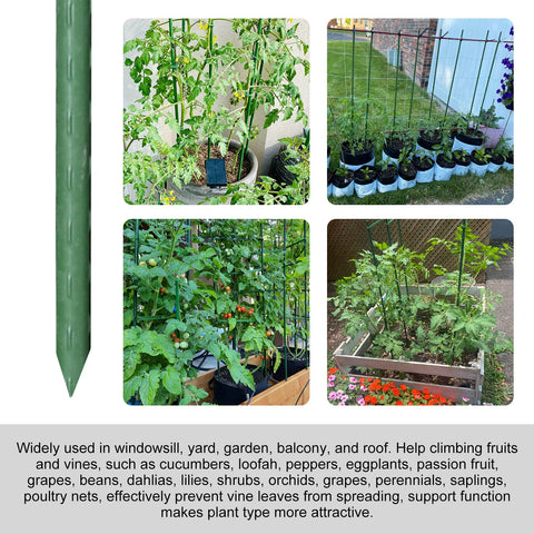 Garmeinea stakes feature pointed and flat heads for easy installation.