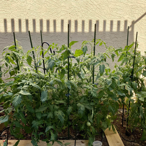Garmeinea 25-pack packaging ready for versatile home garden use.