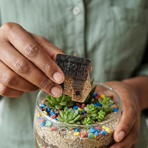Garneck miniature fairy garden house for creative display ideas