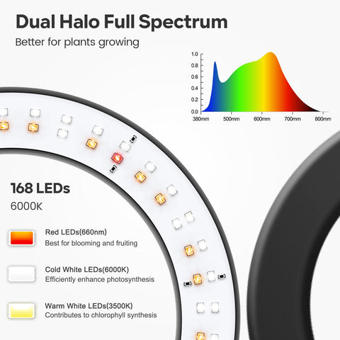 Garpsen Halo Grow Lights dual-head design maximizing coverage for larger plants