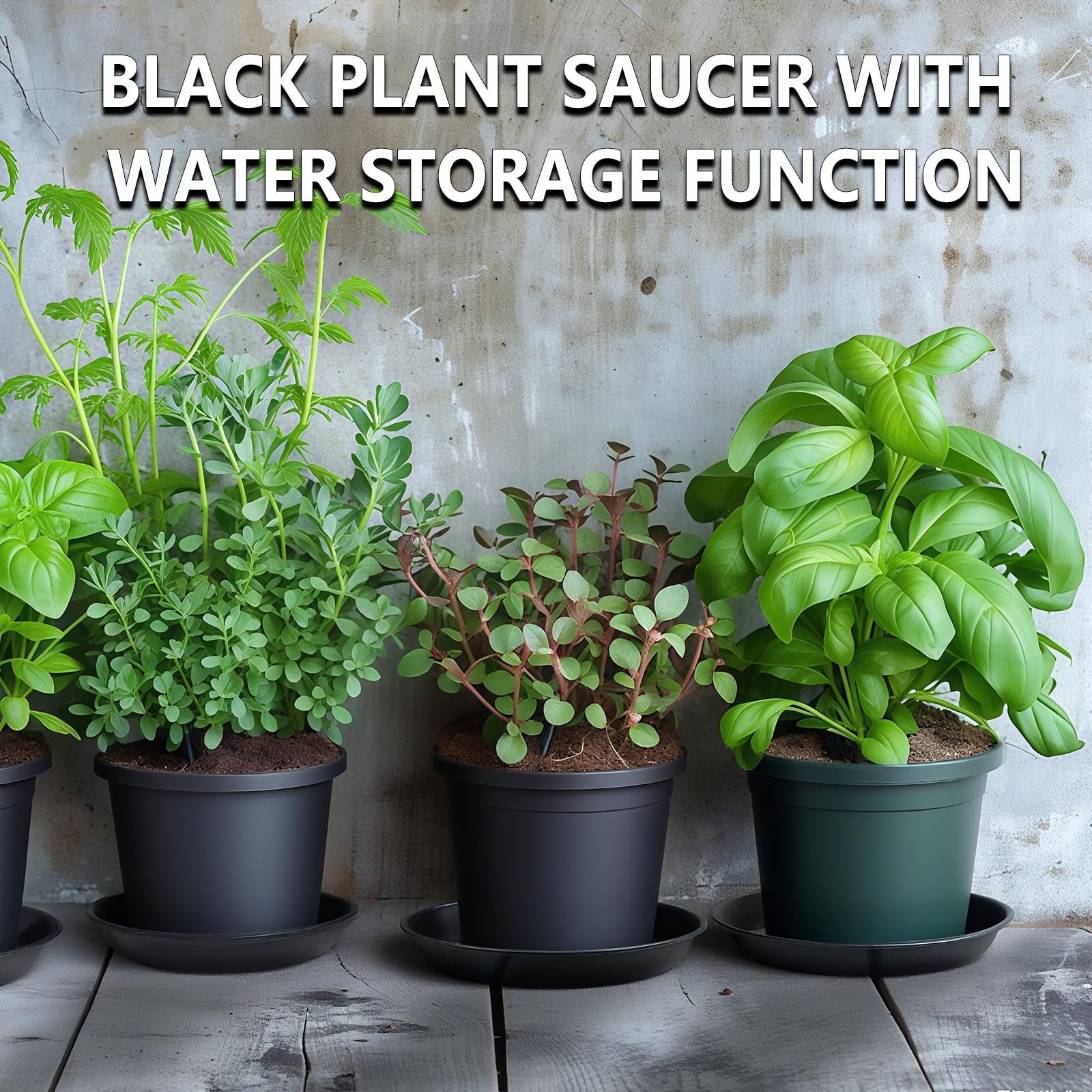 Garrdeen 8-inch plant saucer edge detail for sturdy support.