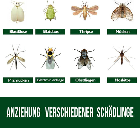 Garsum 20-pack sticky traps for comprehensive pest coverage.