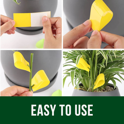 Garsum 21 Traps includes setup tool for quick placement.