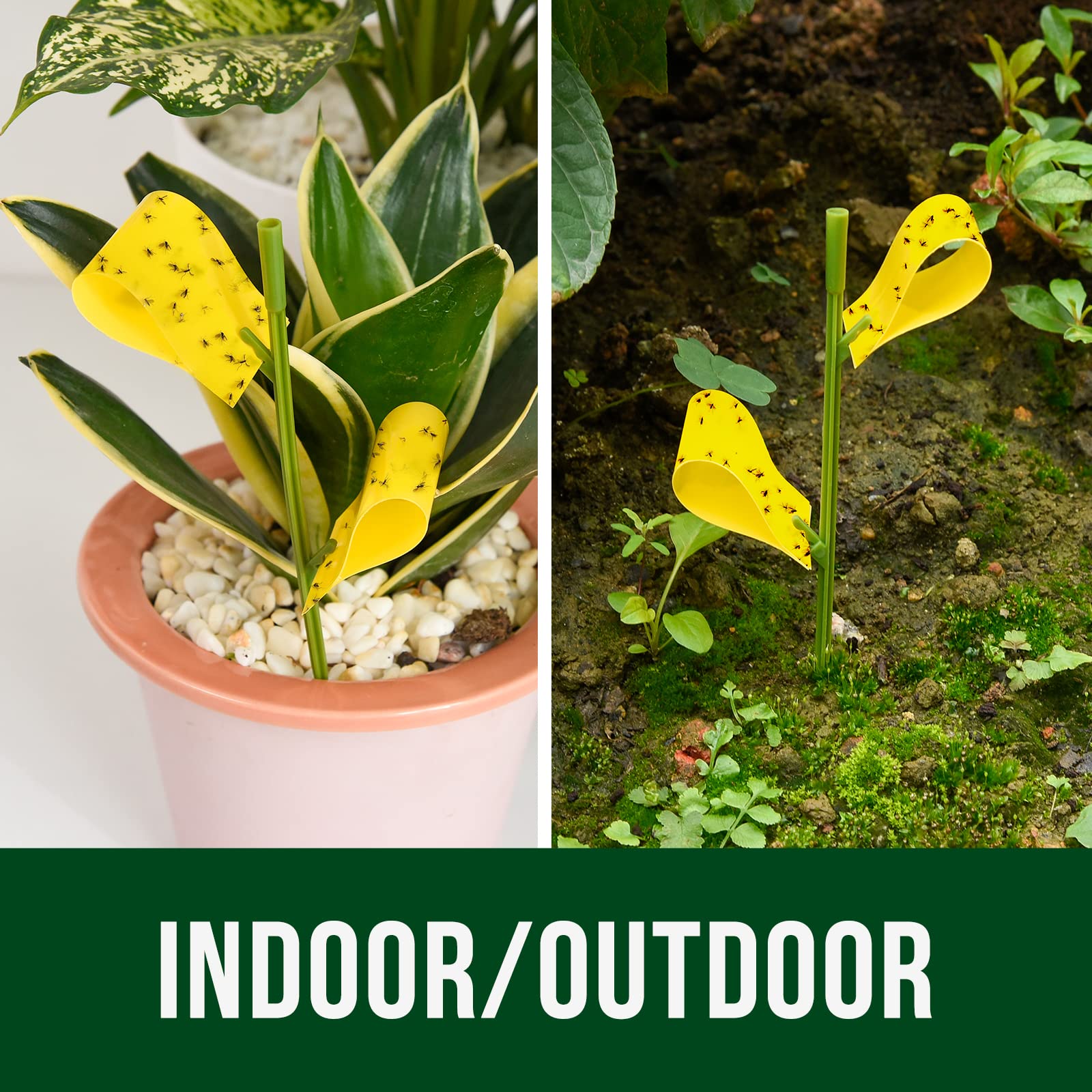 Garsum 21 Traps UV-resistant durability withstands rain and sun.