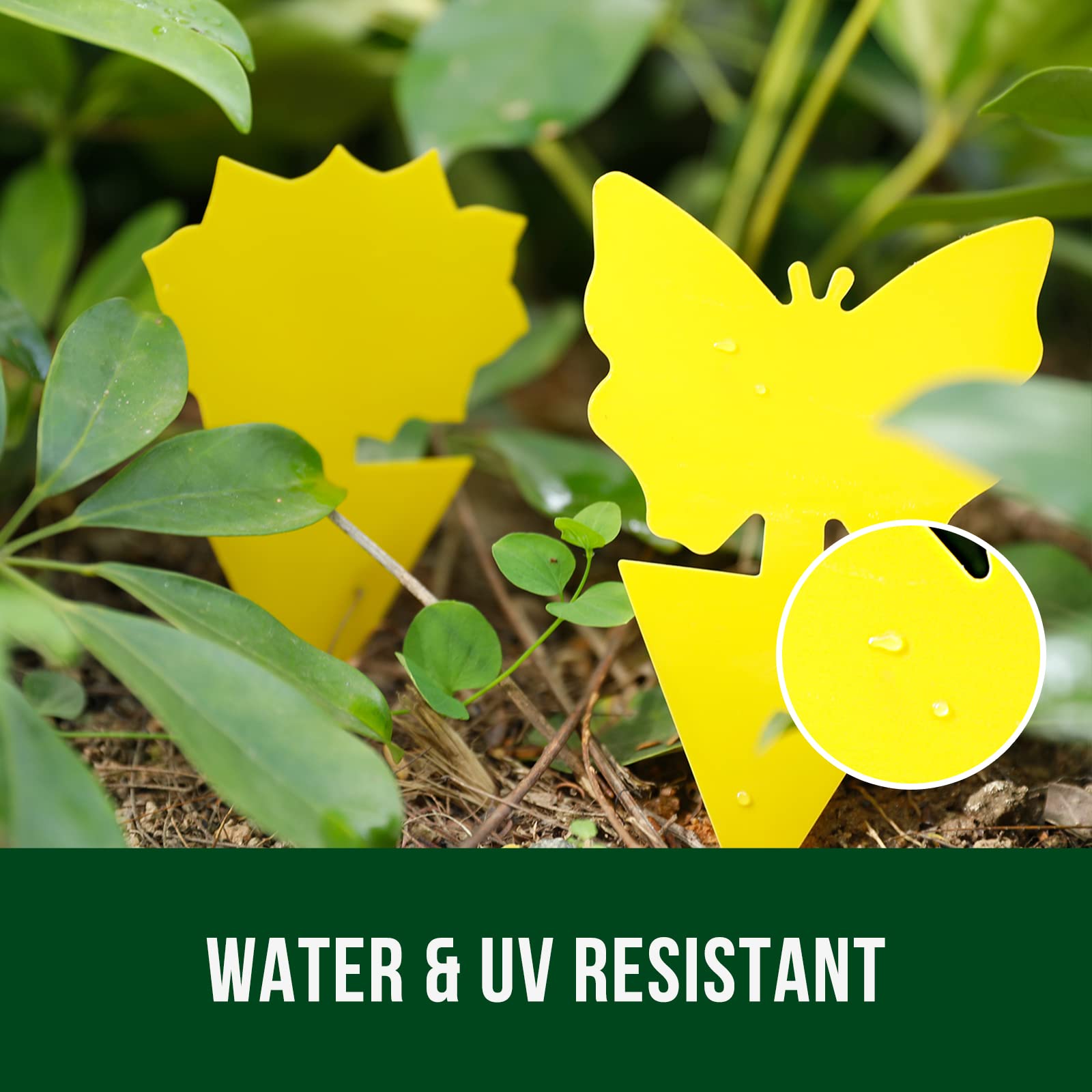 Garsum adjustable trap length demonstrates fitting to plant height