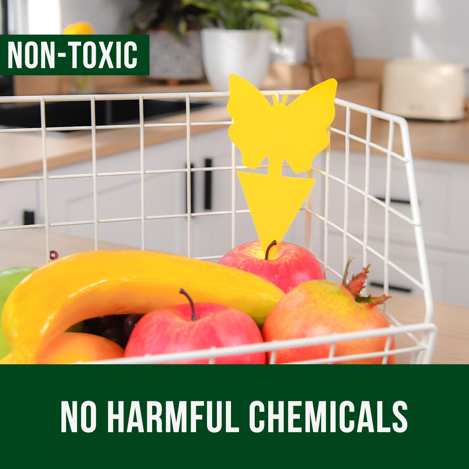 Garsum eco-friendly, odorless pest control suitable for homes and organic farms.