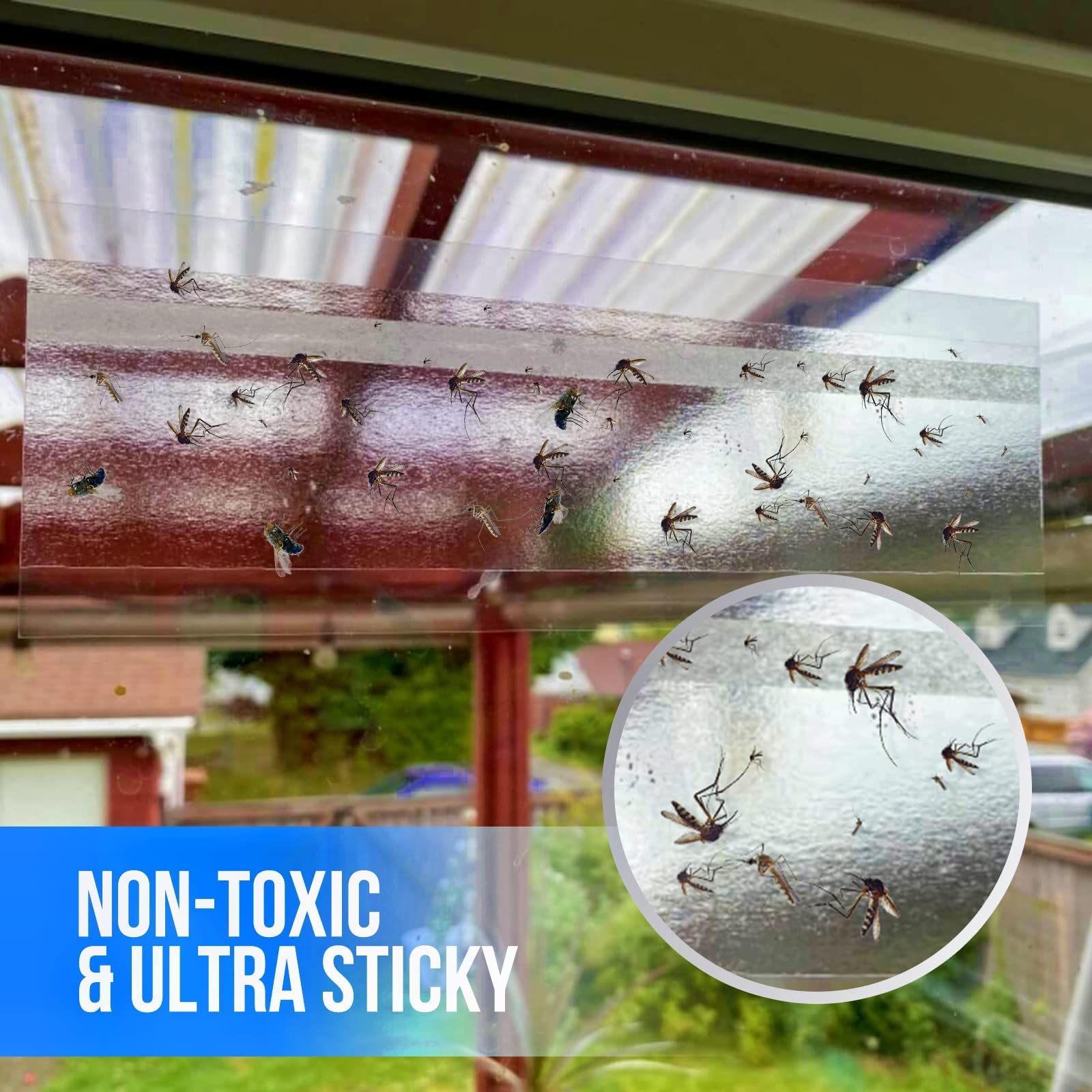 Garsum sticky strips maintain light transmission while trapping flies.