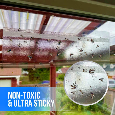 Garsum sticky strips maintain light transmission while trapping flies.