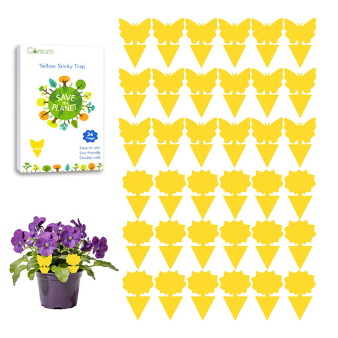 Garsum fruit fly sticky trap, 36-pack, for indoor and outdoor pest control.