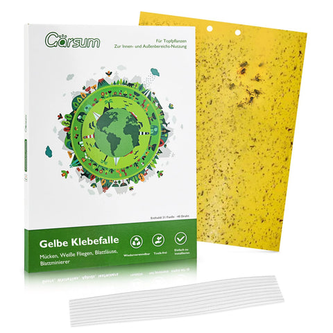 Garsum gnat sticky trap in bright yellow for indoors and outdoors.