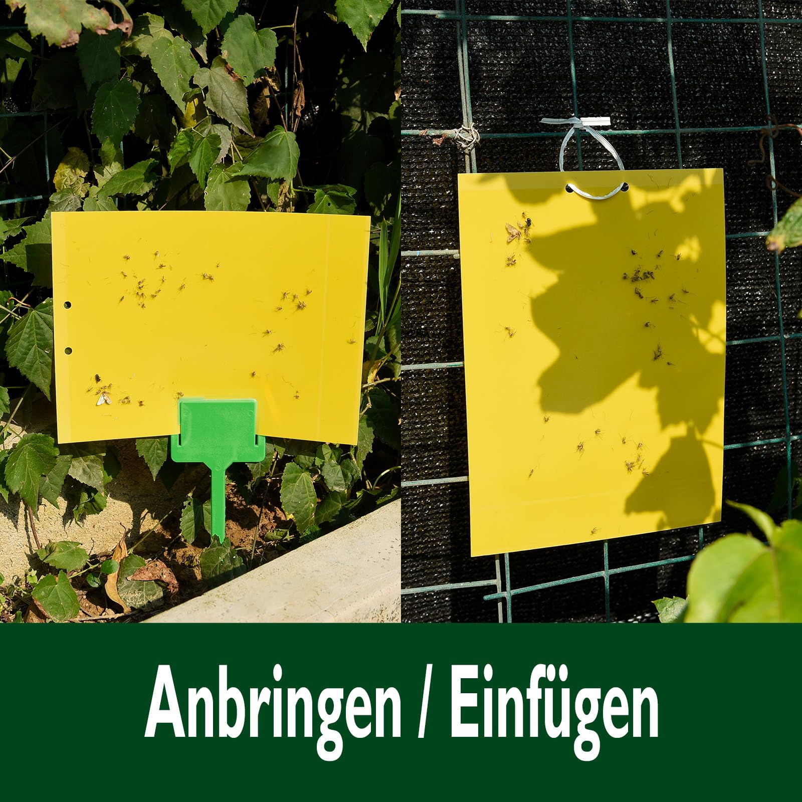 Garsum traps suitable for indoor and outdoor plant care.