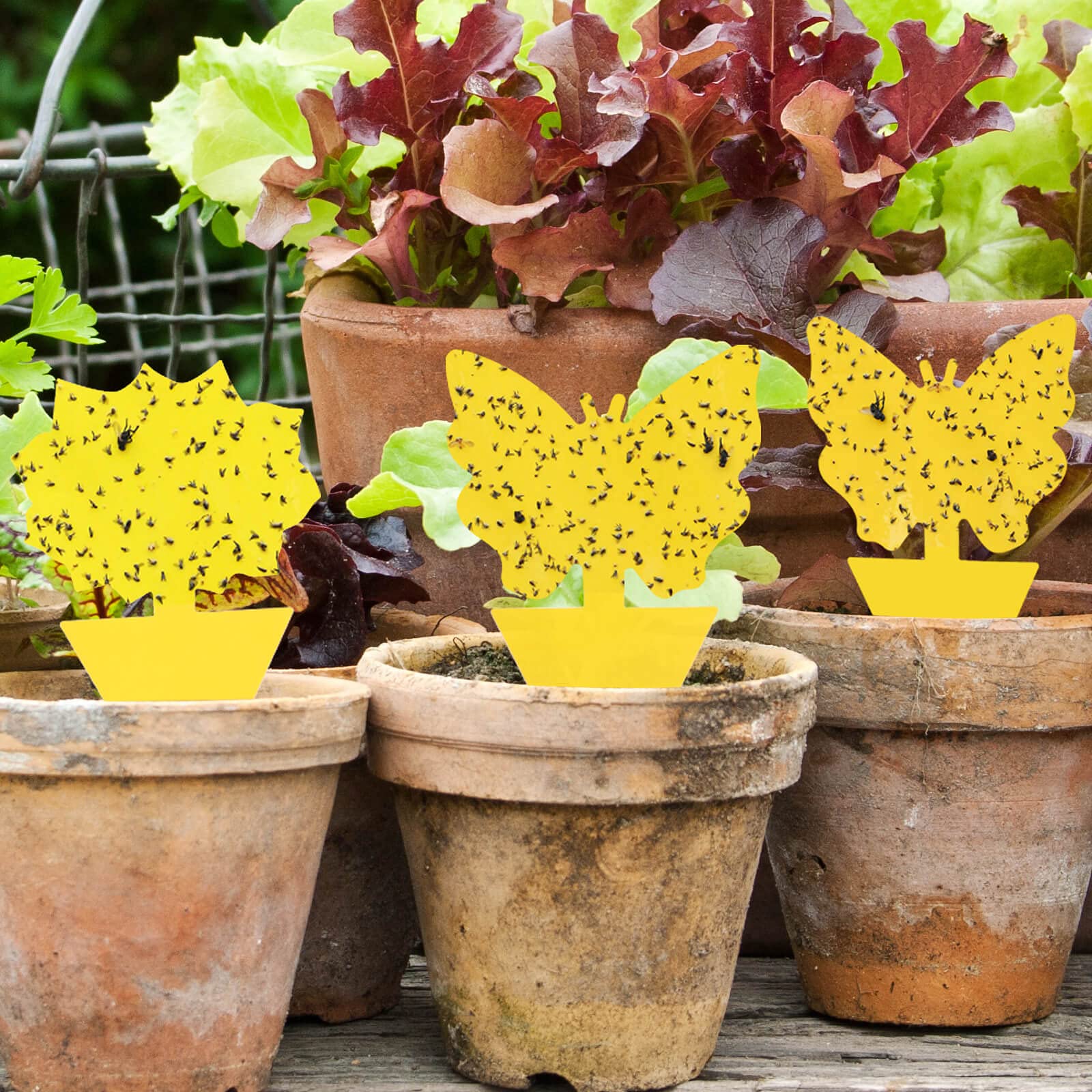 Garsum UV resistant and waterproof construction withstands weather