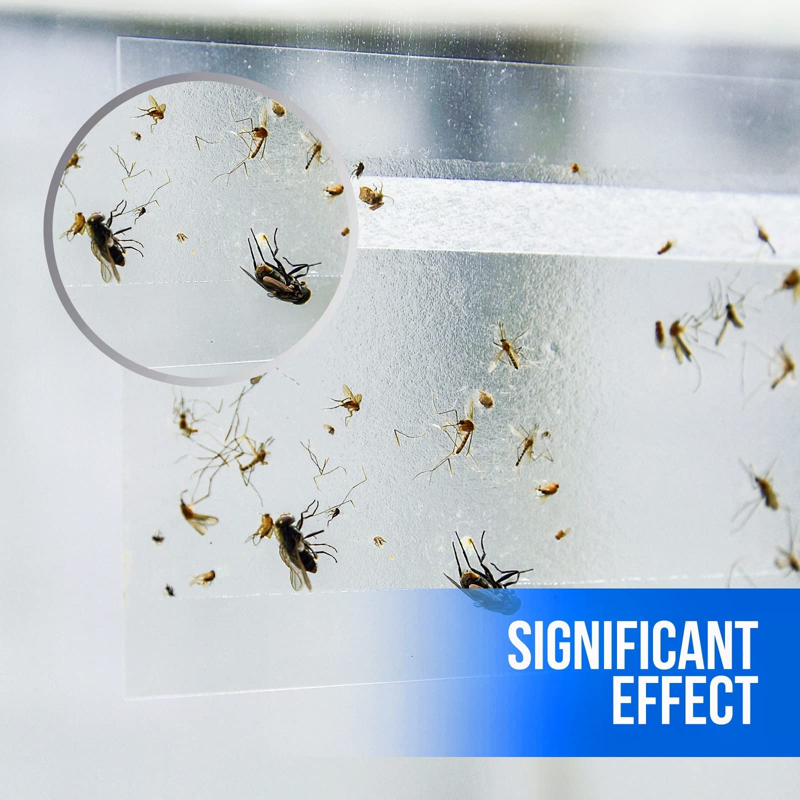 Garsum transparent window decal attracts flies without obscuring view.