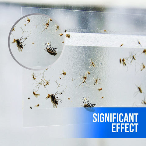 Garsum transparent window decal attracts flies without obscuring view.