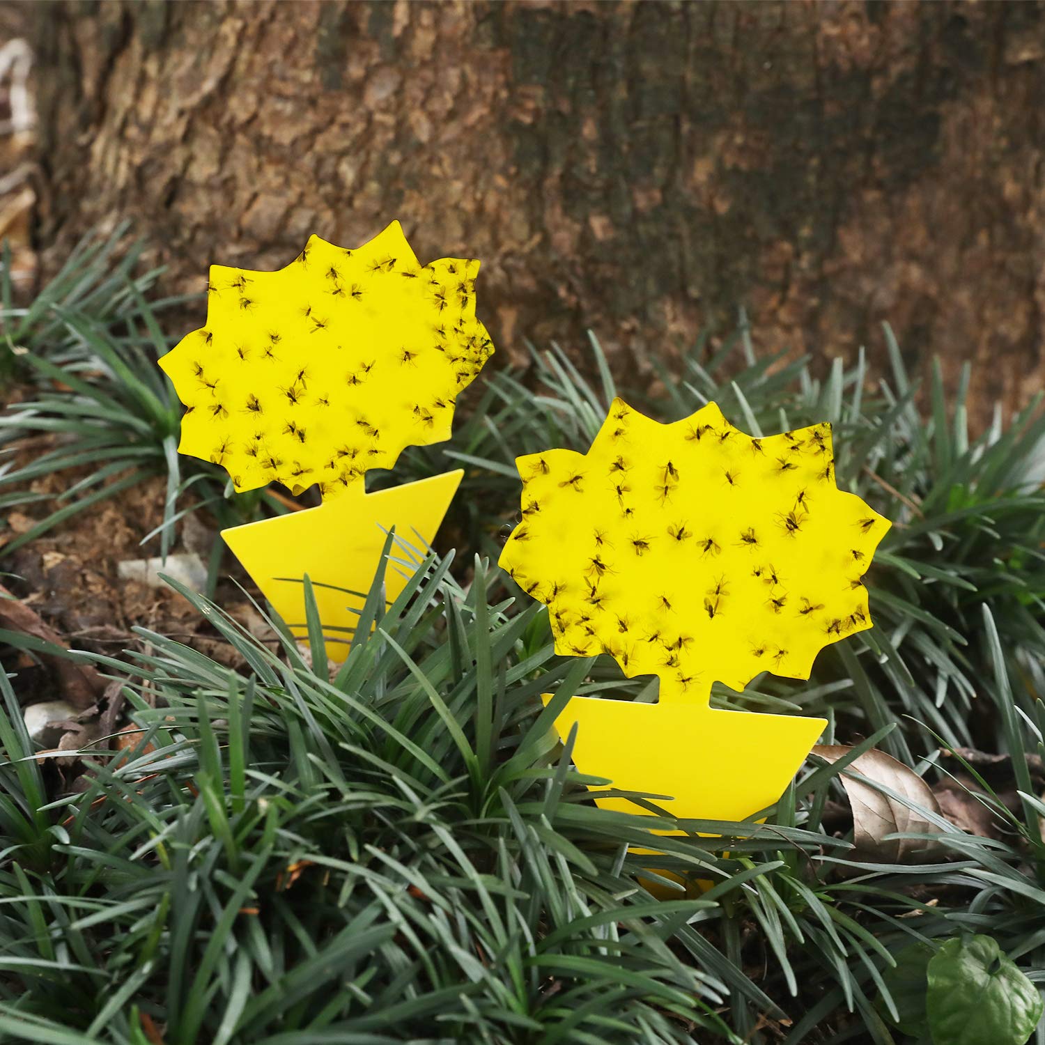 Garsum kitten-shaped yellow trap attracts insects for easy garden pest control