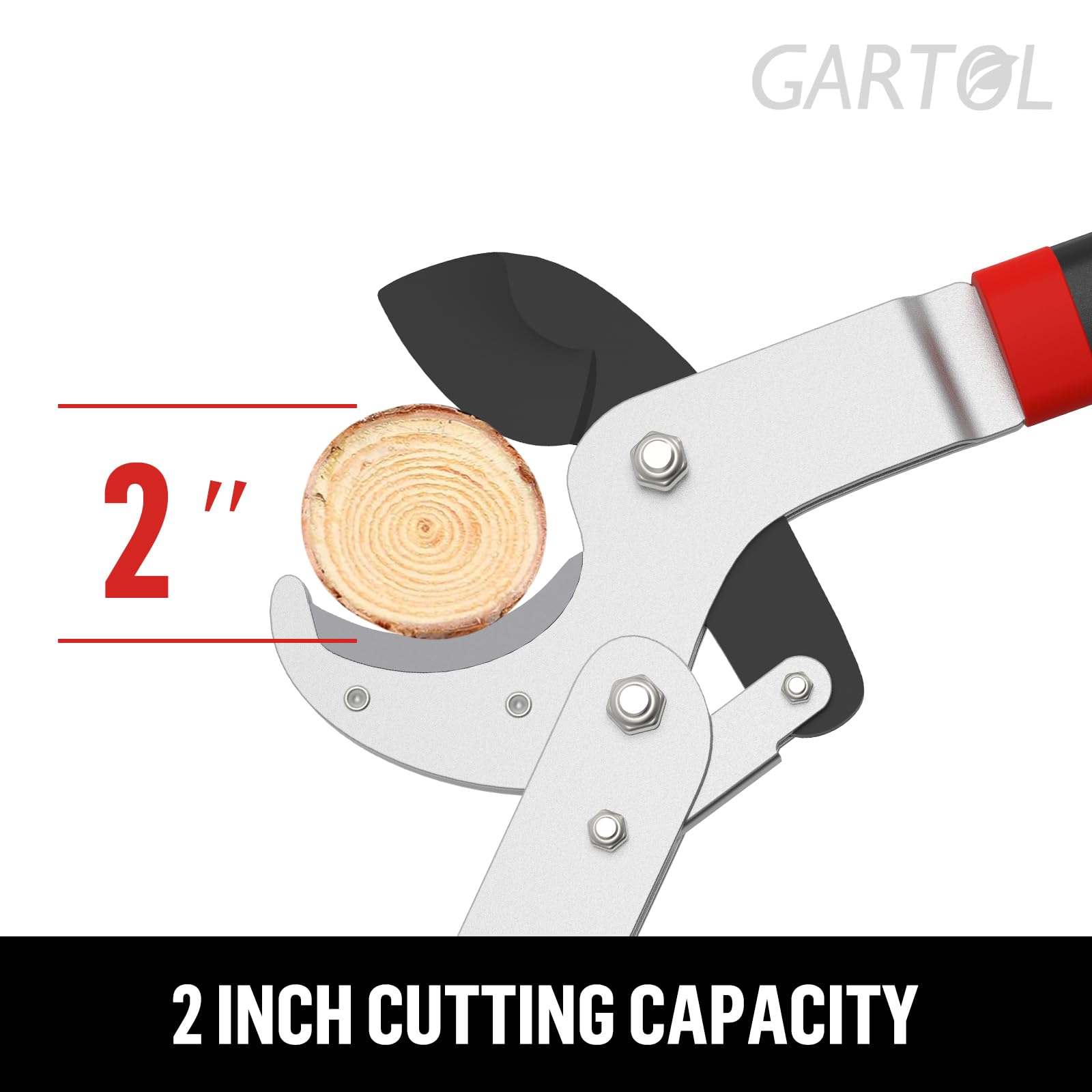 GARTOL 29-inch lopper reaches high branches safely.