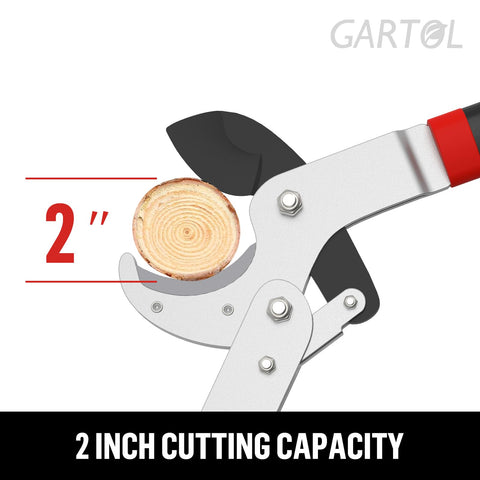 GARTOL 29-inch lopper reaches high branches safely.