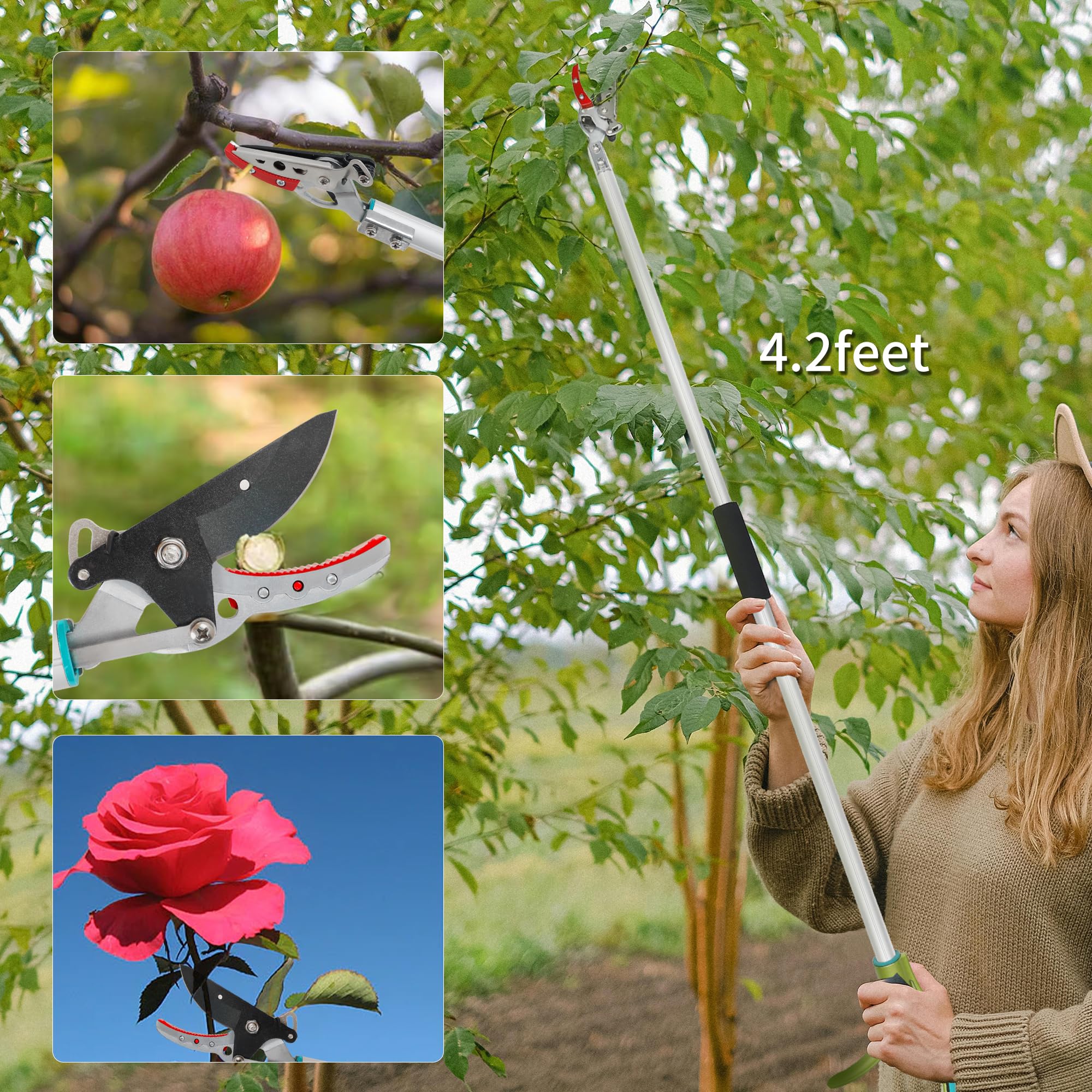 Ground-level fruit picking with GARTOL cut & hold pruner in a garden