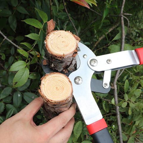 GARTOL designed for hardwood and dry branches up to 2 inches.
