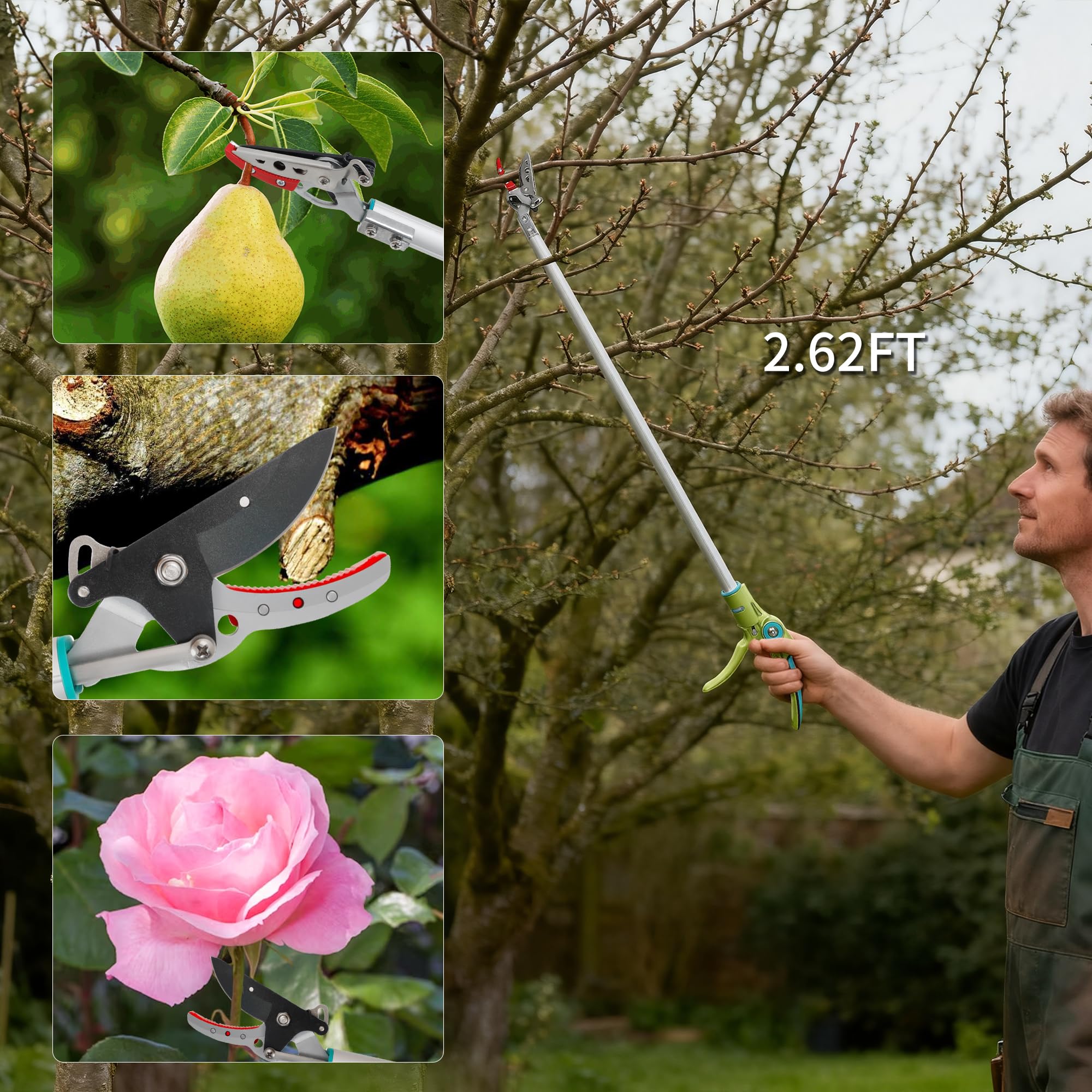 GARTOL 32-inch reach enables overhead pruning from standing position