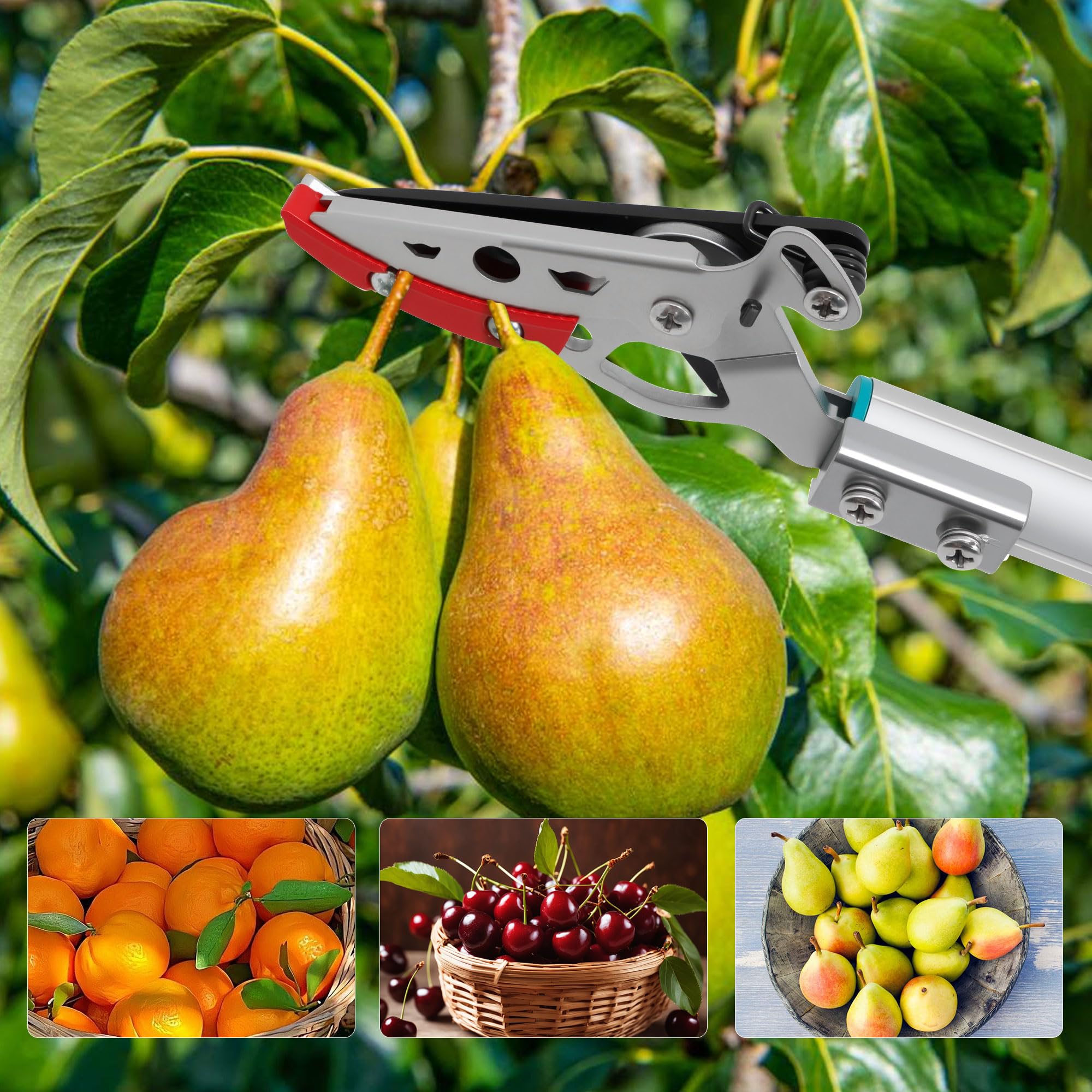 GARTOL overhead pruning in action with long reach tool
