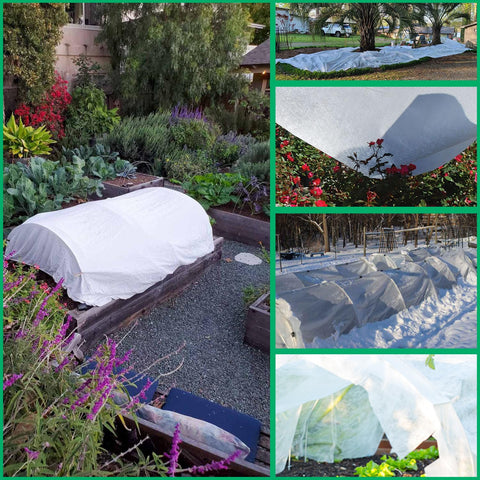 Garutom all-season protection guards against sun and pests.