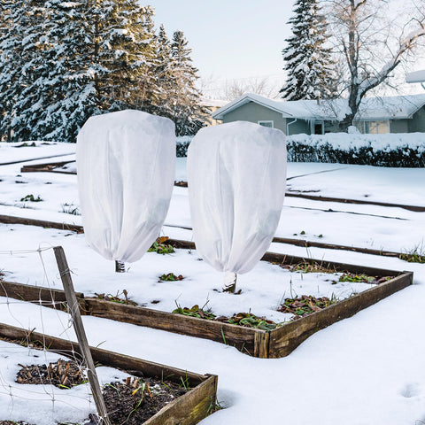 Garutom winterizing cover extends gardening season into early spring